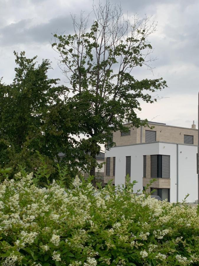 Appartement Mosaikhaus Smart Würselen